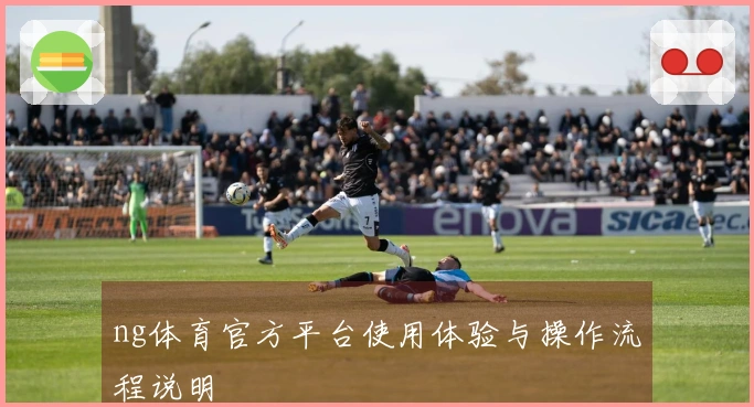 ng体育官方平台使用体验与操作流程说明
