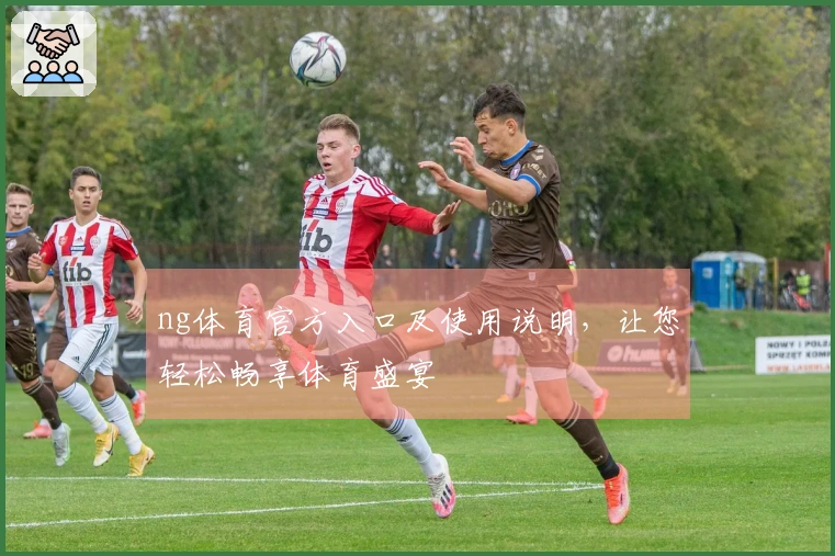 ng体育官方入口及使用说明，让您轻松畅享体育盛宴