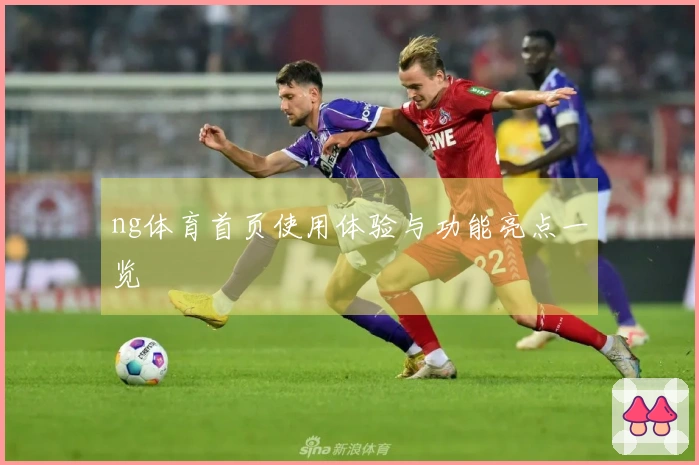 ng体育首页使用体验与功能亮点一览