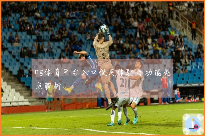 ng体育平台入口使用体验与功能亮点解析